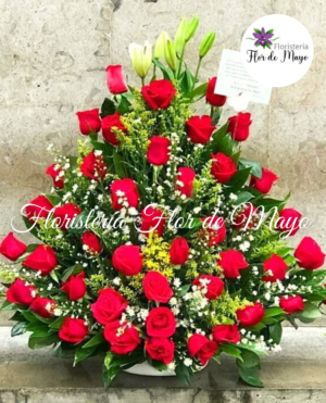 Ref. 22